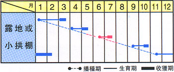 早生標準栽培適期表.jpg