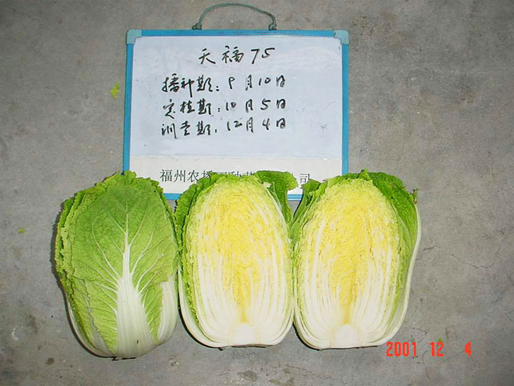 天福75（2）.jpg