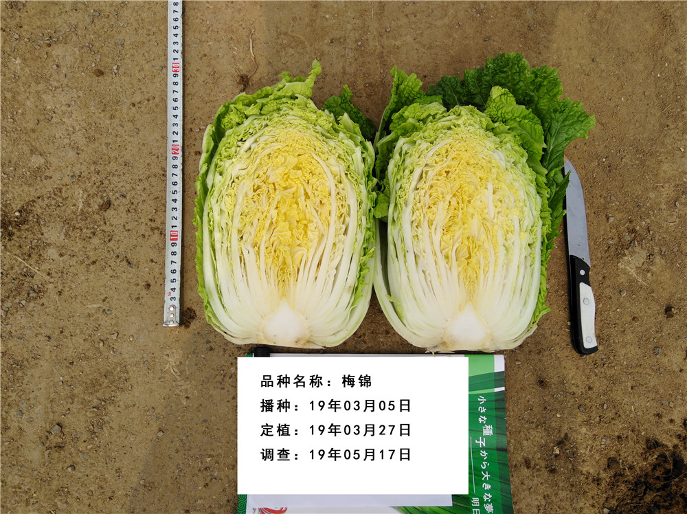 IMG_20190517_095524副本.jpg
