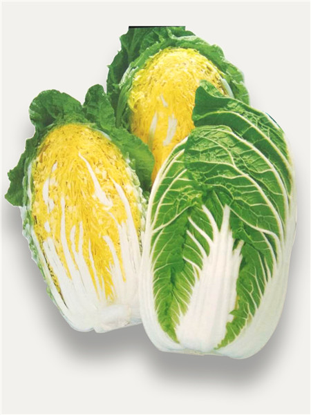 似锦