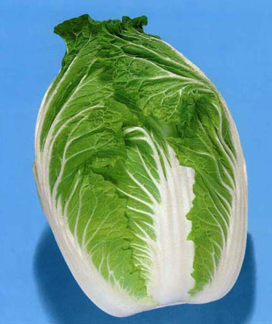 吉锦（原名：菊锦）